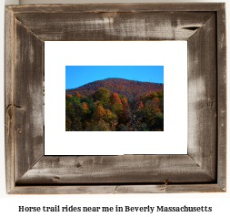 horse trail rides near me in Beverly, Massachusetts